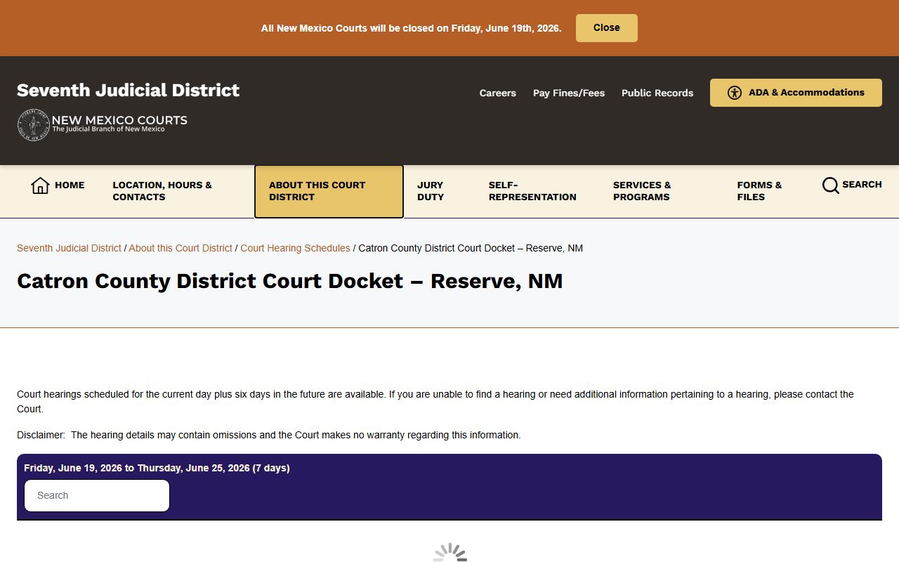 Catron County District Court docket page for Reserve New Mexico