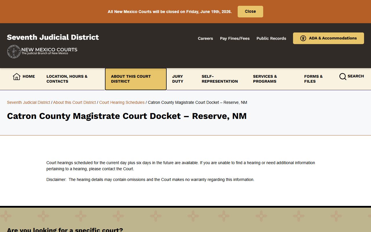 Catron County Magistrate Court docket page for Reserve New Mexico